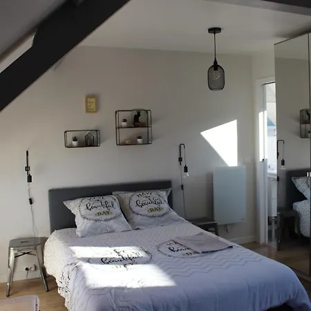 La Cabane D'esteban 公寓 翁弗勒尔